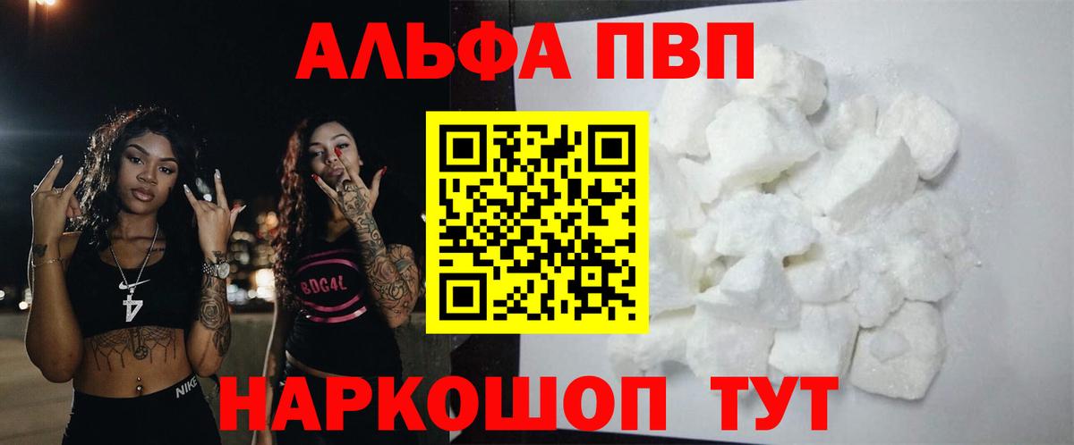 Альфа ПВП СК Старая Русса