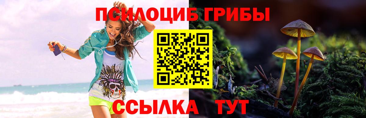 Галлюциногенные грибы прущие грибы Старая Русса