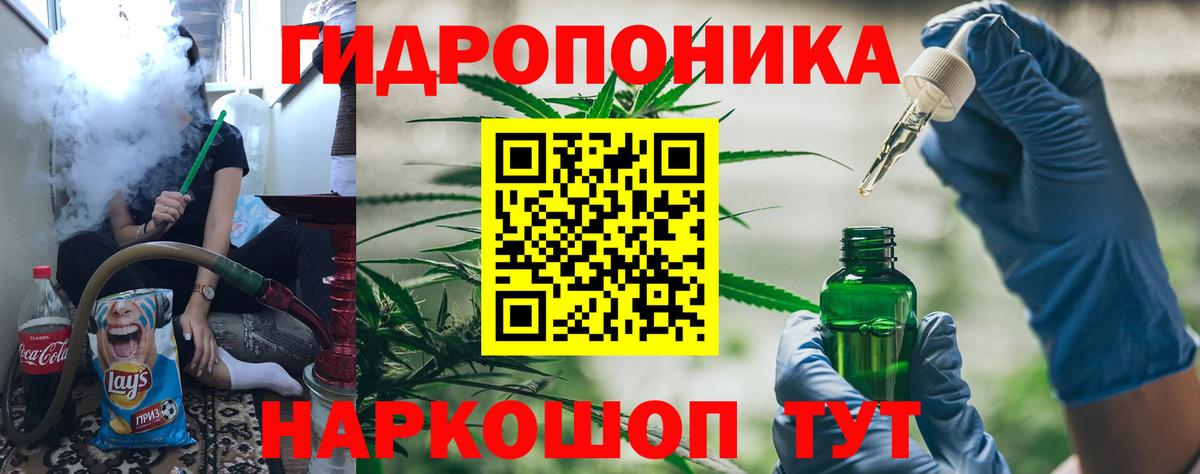 Бошки Шишки семена Старая Русса